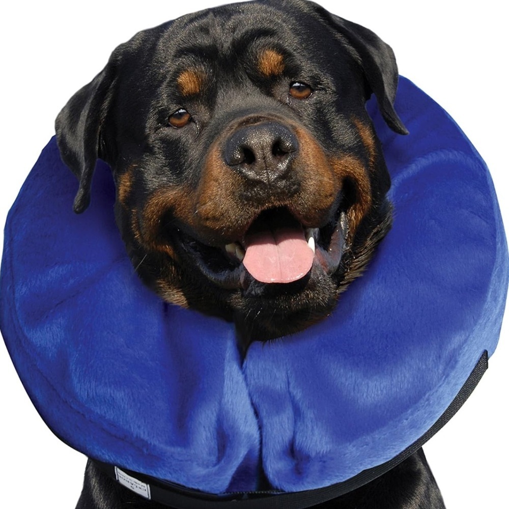 KONG Cloud Inflatable Protective Collar in Blue - Picture 8 of 8